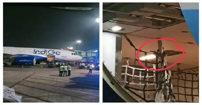 A snake was discovered in the cargo hold of an IndiGo flight at Kolkata Airport- watch the shocking video - Real News India